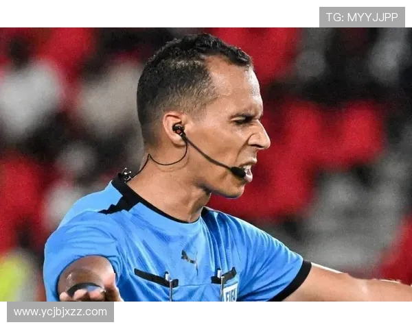 喀麦隆与尼日利亚足球赛精彩直播全程回顾与分析