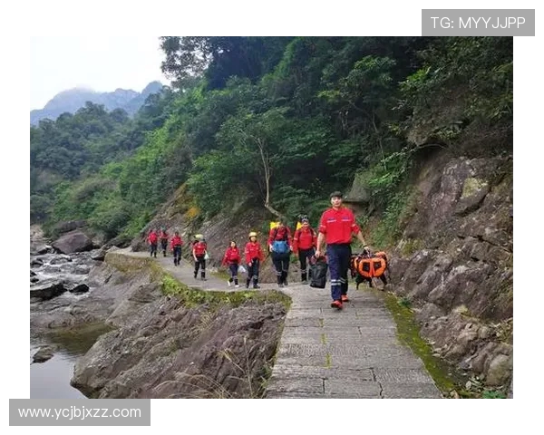 辽宁对阵福建精彩图文直播全程回顾与分析尽在此处