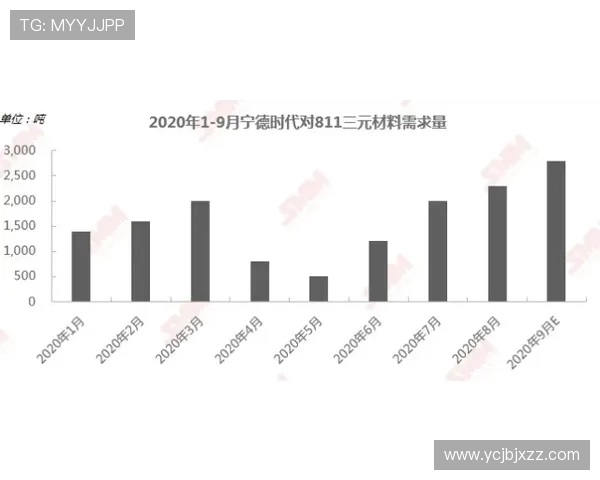 广州滑板队的整体压制革新探索与未来发展路径分析